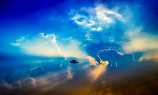 写真 2015-04-25 9 54 41.jpg